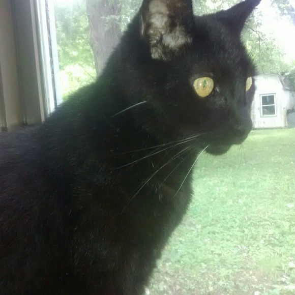 Meet your Posher, Sally - Picture 4 of 16